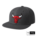 Bulls - Dark Grey - Snapback Cap